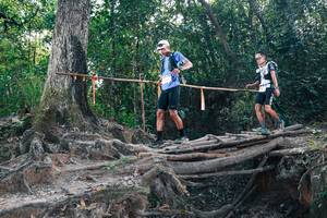 BIB: 
                            <button type="button" onclick="openModal(27747591)" class="btn btn-primary btn-sm float-right btn-popup" data-toggle="modal" data-target=".modal-high-quality">
                        <i class="fas fa-shopping-cart"></i> Add to Cart
                    </button>
                                            <button type="button" onclick="isThisMe(27747591, true)" class="btn btn-success btn-sm float-right btn-popup btn-isme hidden" data-toggle="tooltip" data-placement="bottom" title="นี่คือรูปของคุณใช่ไหม คลิกที่นี่เพื่อเอาเข้าอัลบั้ม">
                        <i class="fas fa-plus"></i> Add to album
                    </button>
                    <button type="button" onclick="isThisMe(27747591, false)" class="btn btn-warning btn-sm float-right btn-popup btn-isnotme hidden">
                        <i class="fas fa-ban"></i> Remove from album
                    </button>